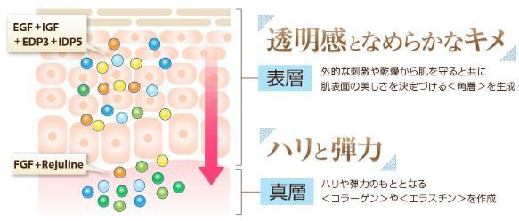 リルジュリカバリーエッセンス3.jpg